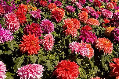 《古墓丽影：崛起》Xbox限时独占交易高达1亿美元